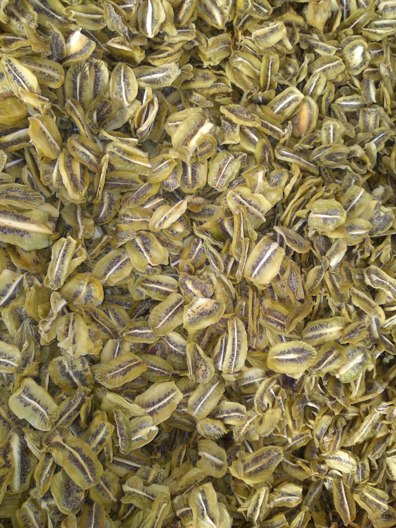 تولید میوه خشک احمدی در کرج