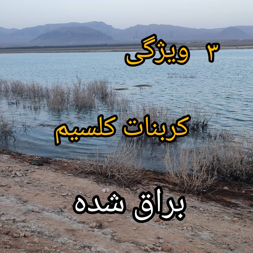 کربنات کلسیم کوتد پودرسازان در دلیجان