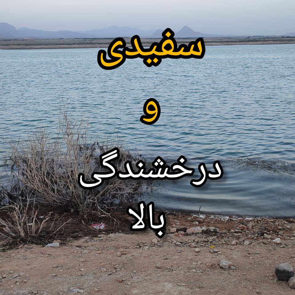 کربنات کلسیم کوتد پودرسازان در دلیجان