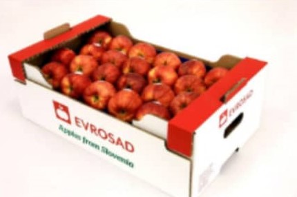 جعبه سازی کاج در تبریز