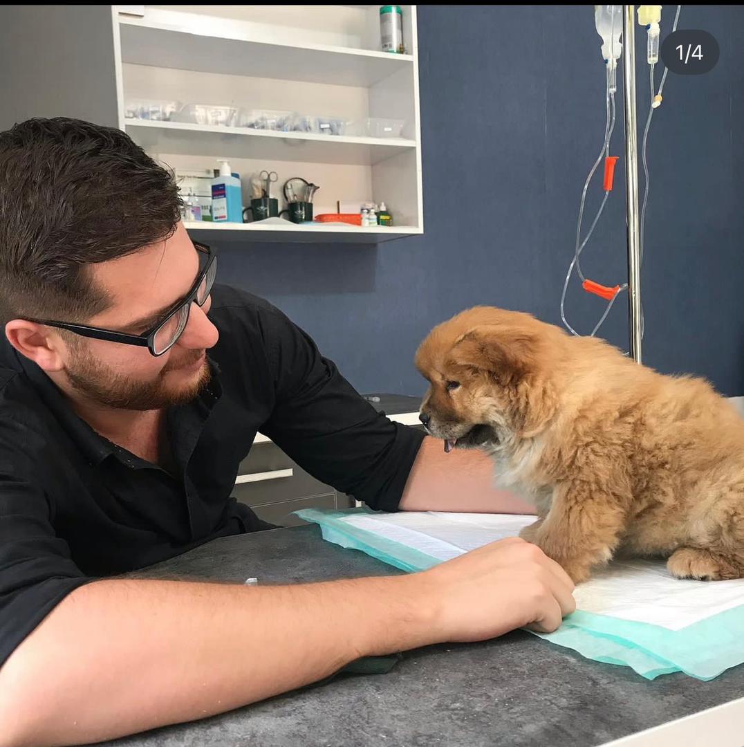 کلینیک دامپزشکی میراث در آباده کلینیک دامپزشکی میراث در آباده