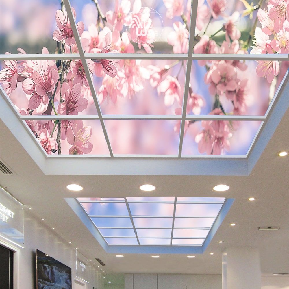 تریینات و دکوراسیون زیباسرا در محمودآباد تریینات و دکوراسیون زیباسرا در محمودآباد