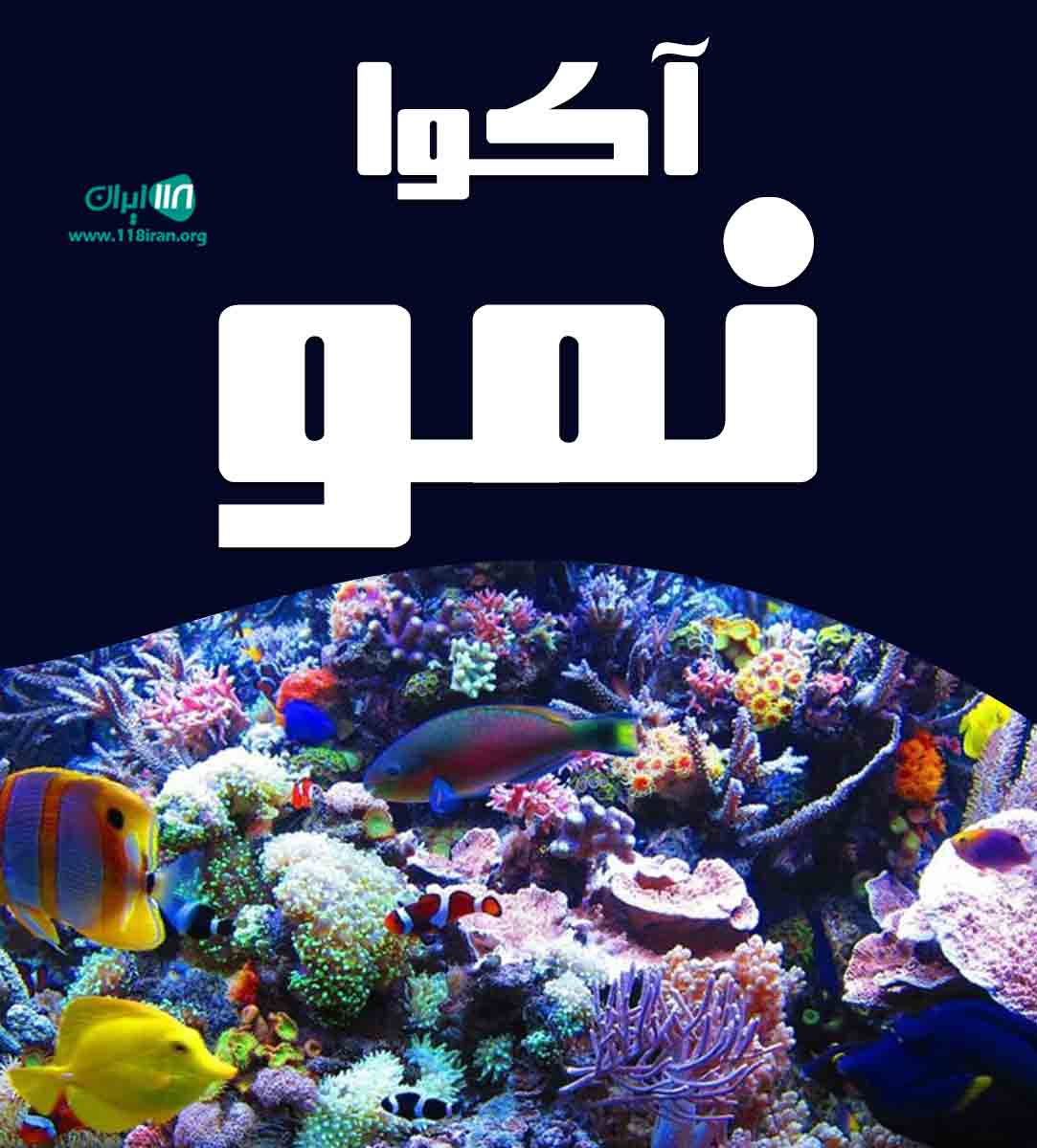 آکوا نمو در زنجان