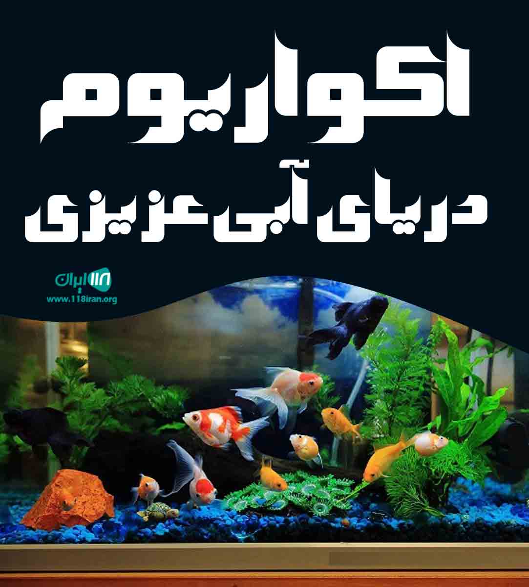 آکواریوم دریای آبی عزیزی در شهربابک آکواریوم دریای آبی عزیزی در شهربابک