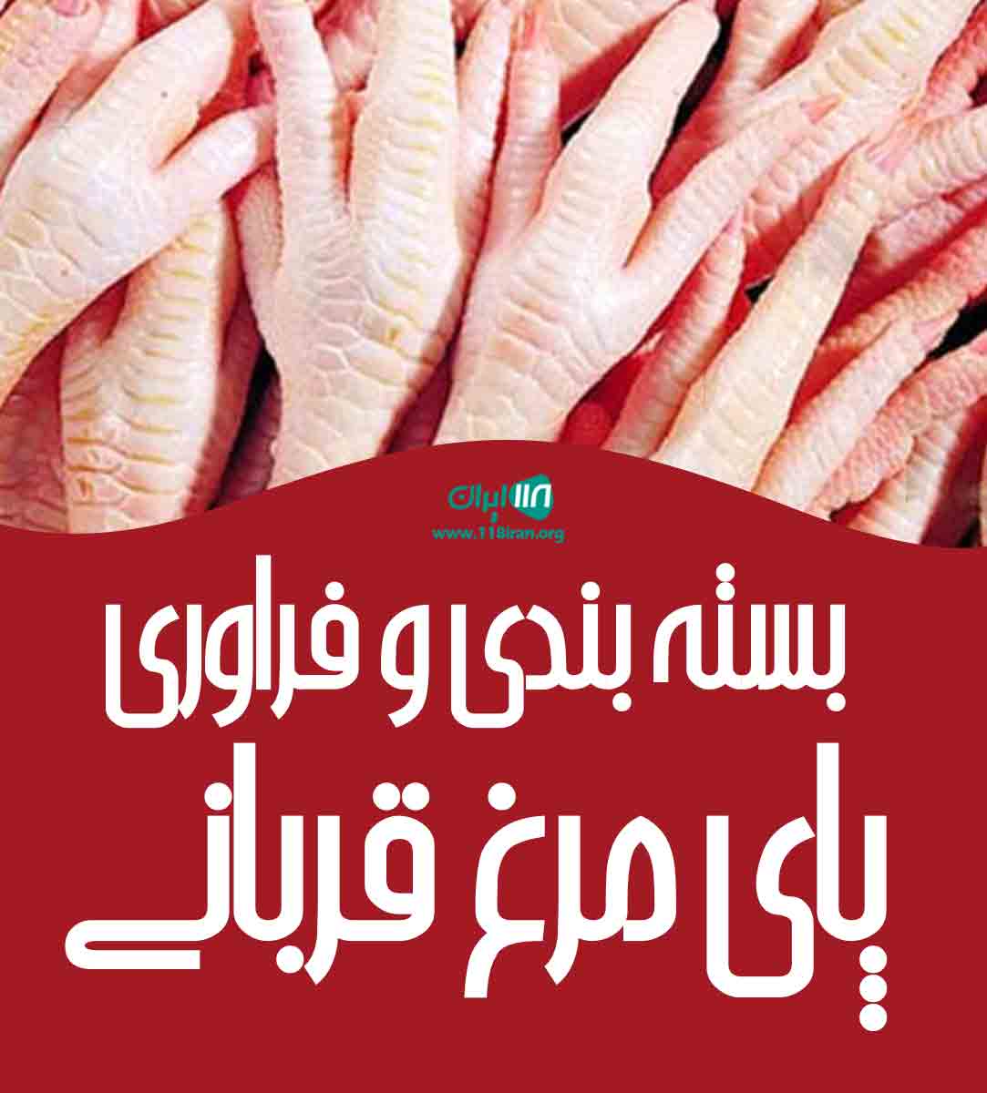 بسته بندی و فراوری پای مرغ قربانی در آمل بسته بندی و فراوری پای مرغ قربانی در آمل