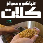 تنباکو و مدواخ کلات در گراش فارس