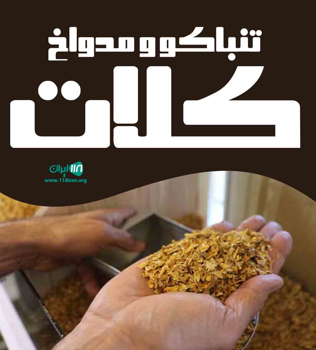 تنباکو و مدواخ کلات در گراش فارس