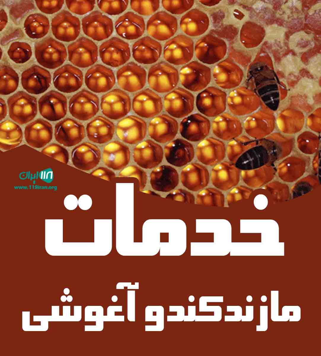 خدمات مازندکندو آغوشی در ساری مازندران