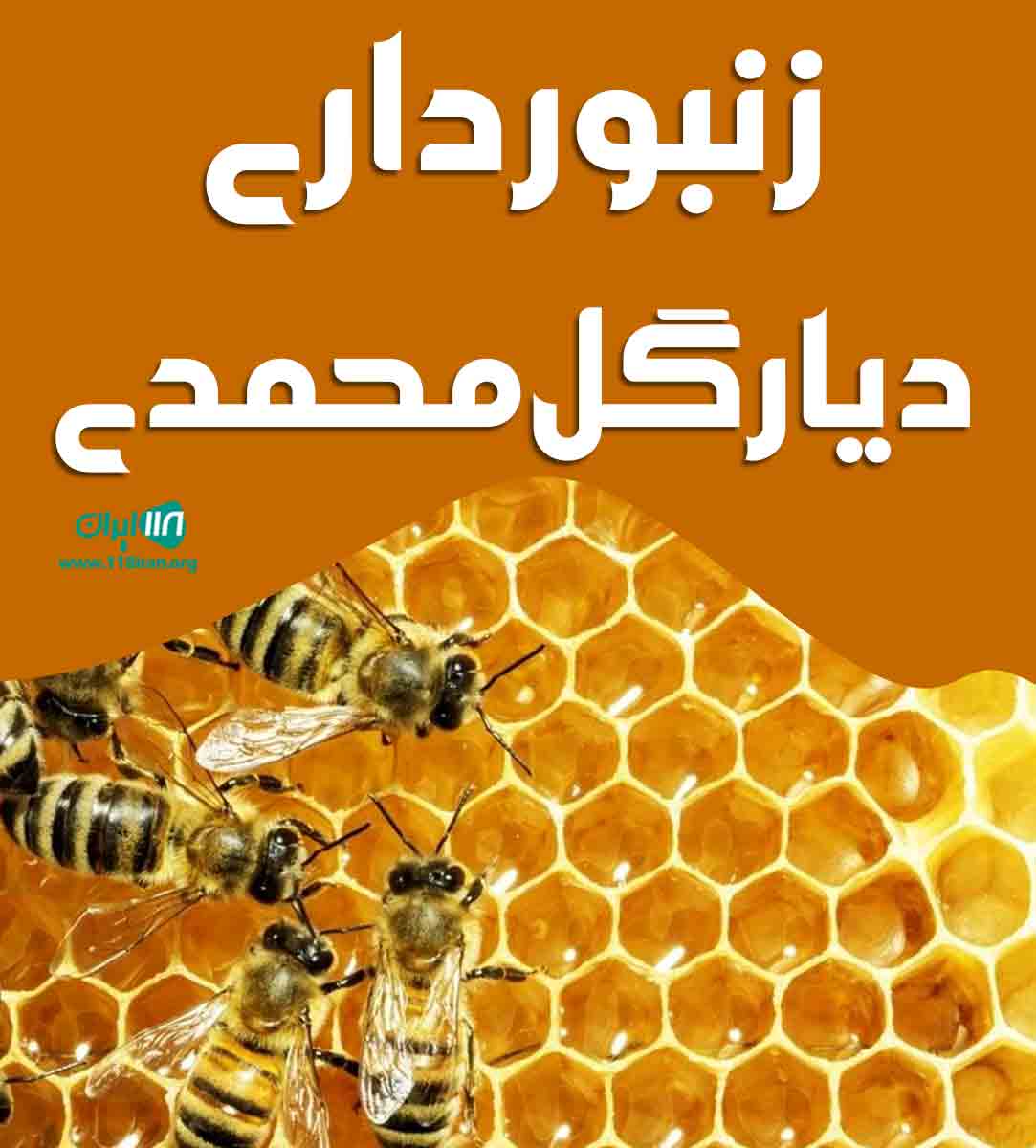 زنبورداری دیار گل محمدی در تبریز