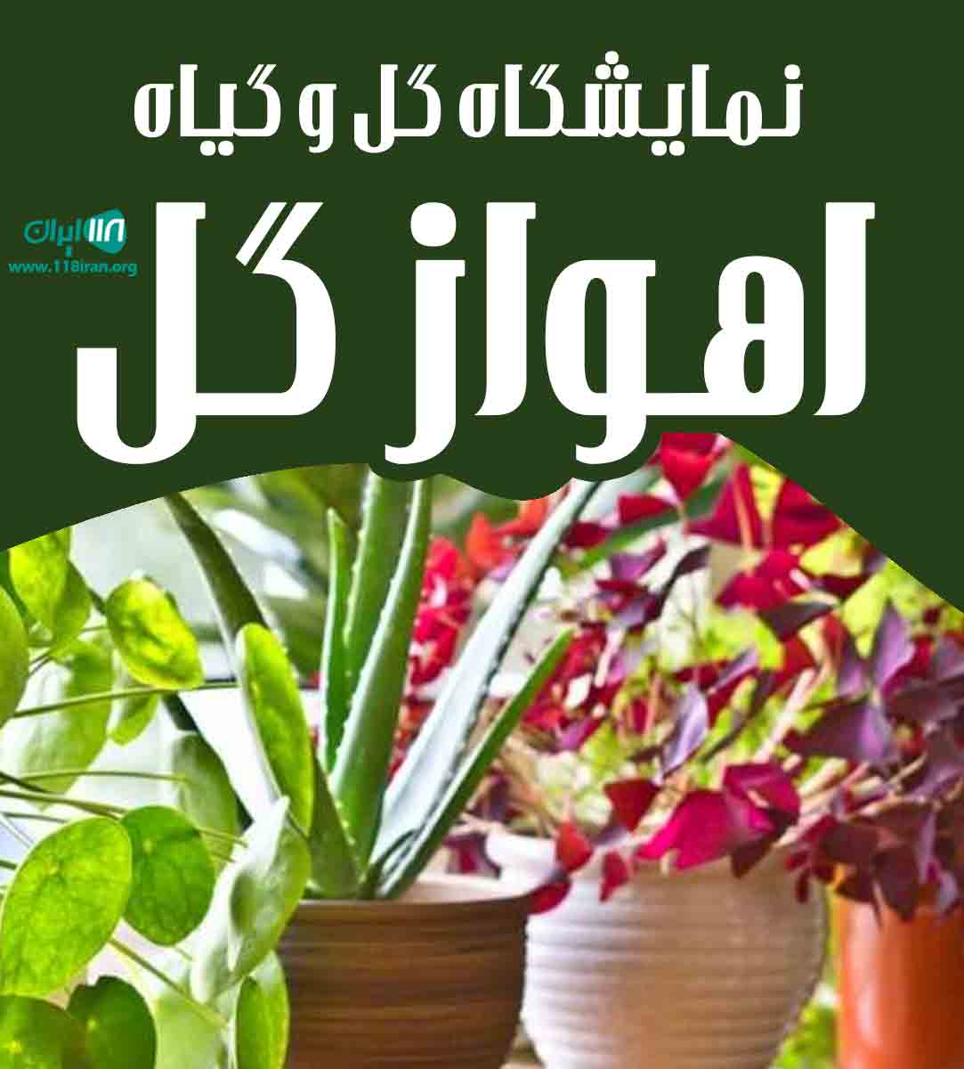 نمایشگاه گل و گیاه اهواز گل در اهواز نمایشگاه گل و گیاه اهواز گل در اهواز