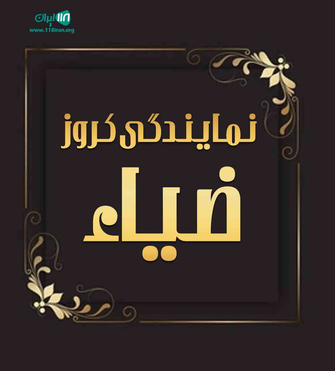 نمایندگی کروز ضیاء در آذربایجان غربی