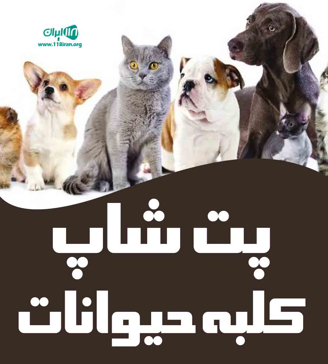 پت شاپ کلبه حیوانات در کرمان پت شاپ کلبه حیوانات در کرمان