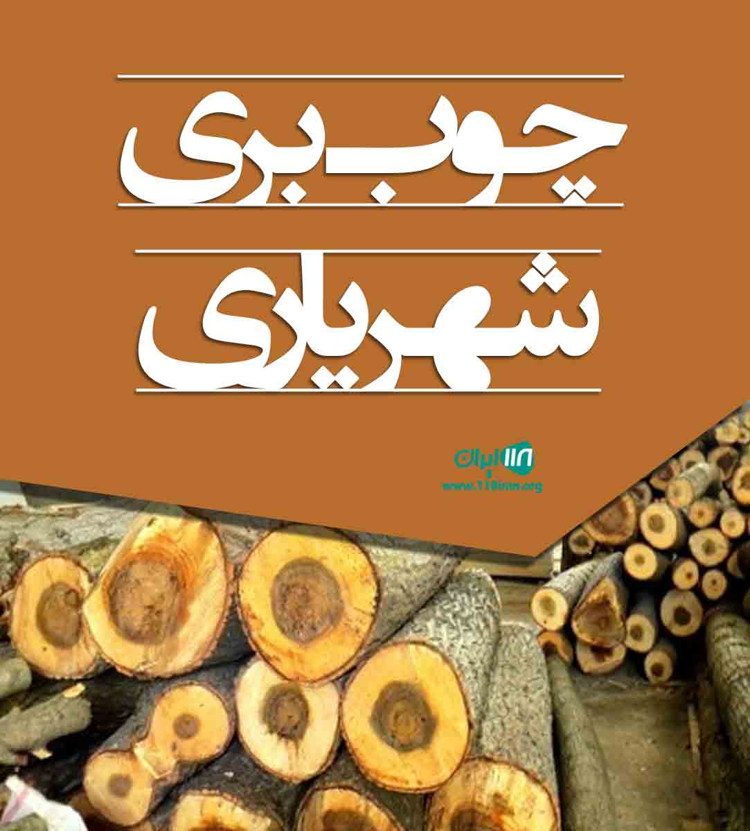 چوب بری شهریاری در کازرون