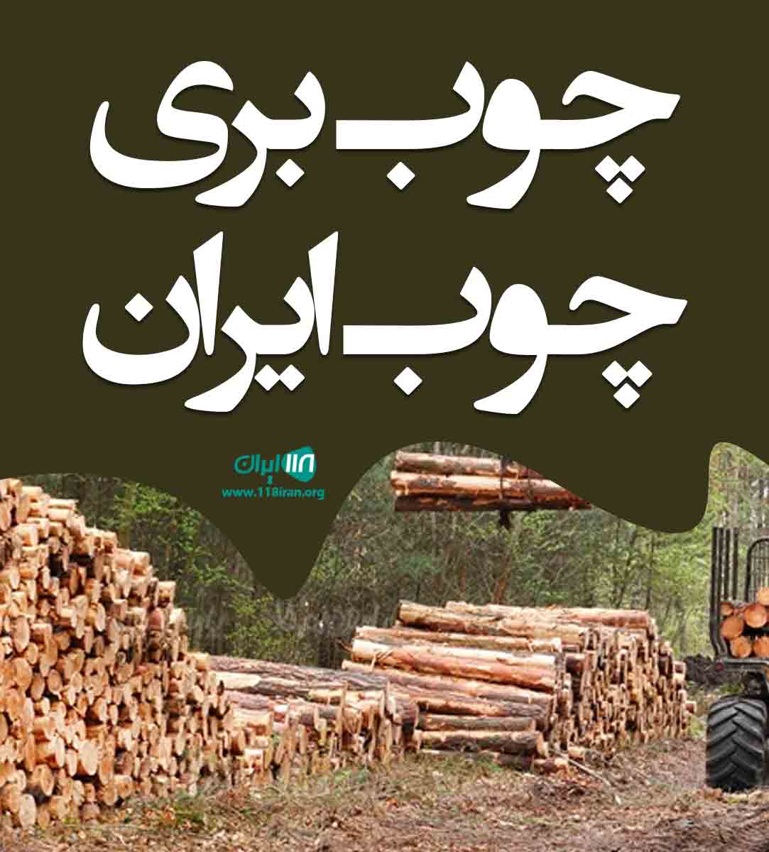 چوب بری چوب ایران در آمل مازندران