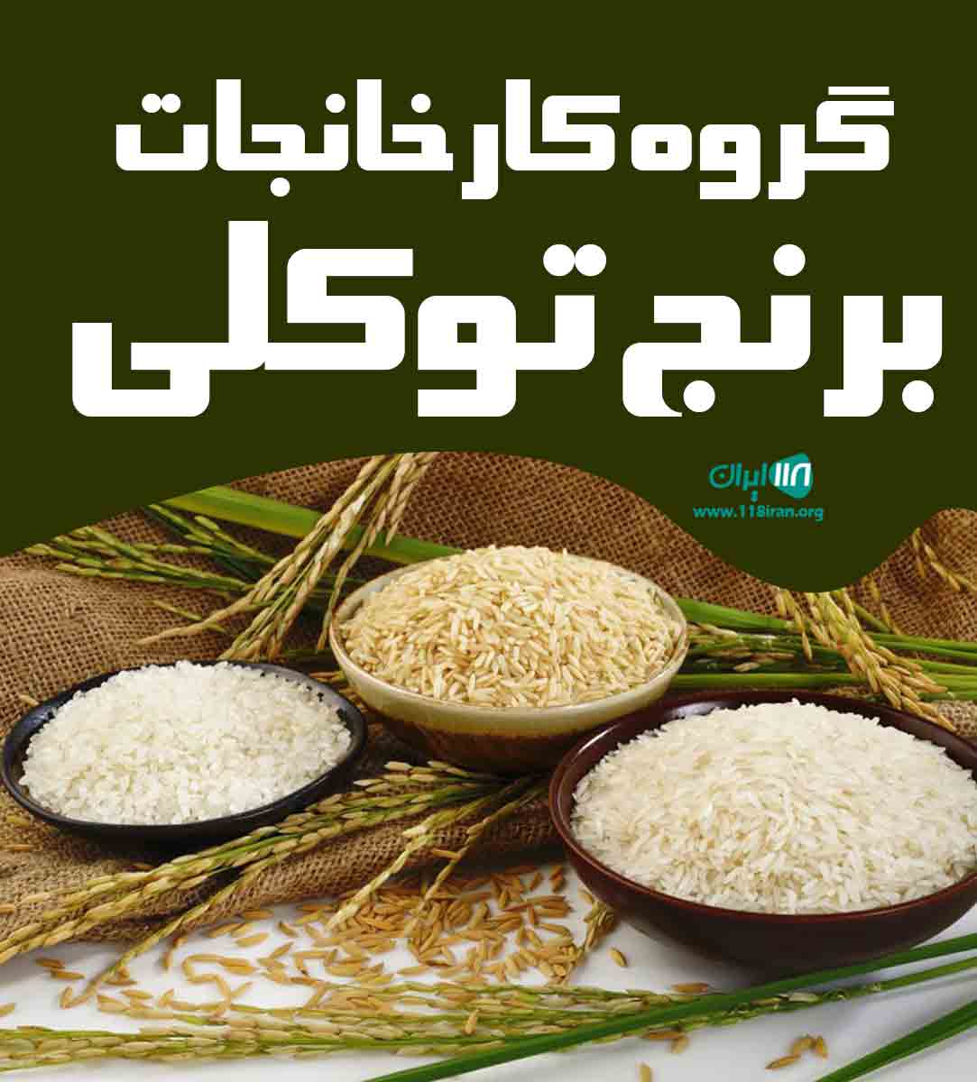 گروه کارخانجات برنج توکلی در فریدون کنار  آمل