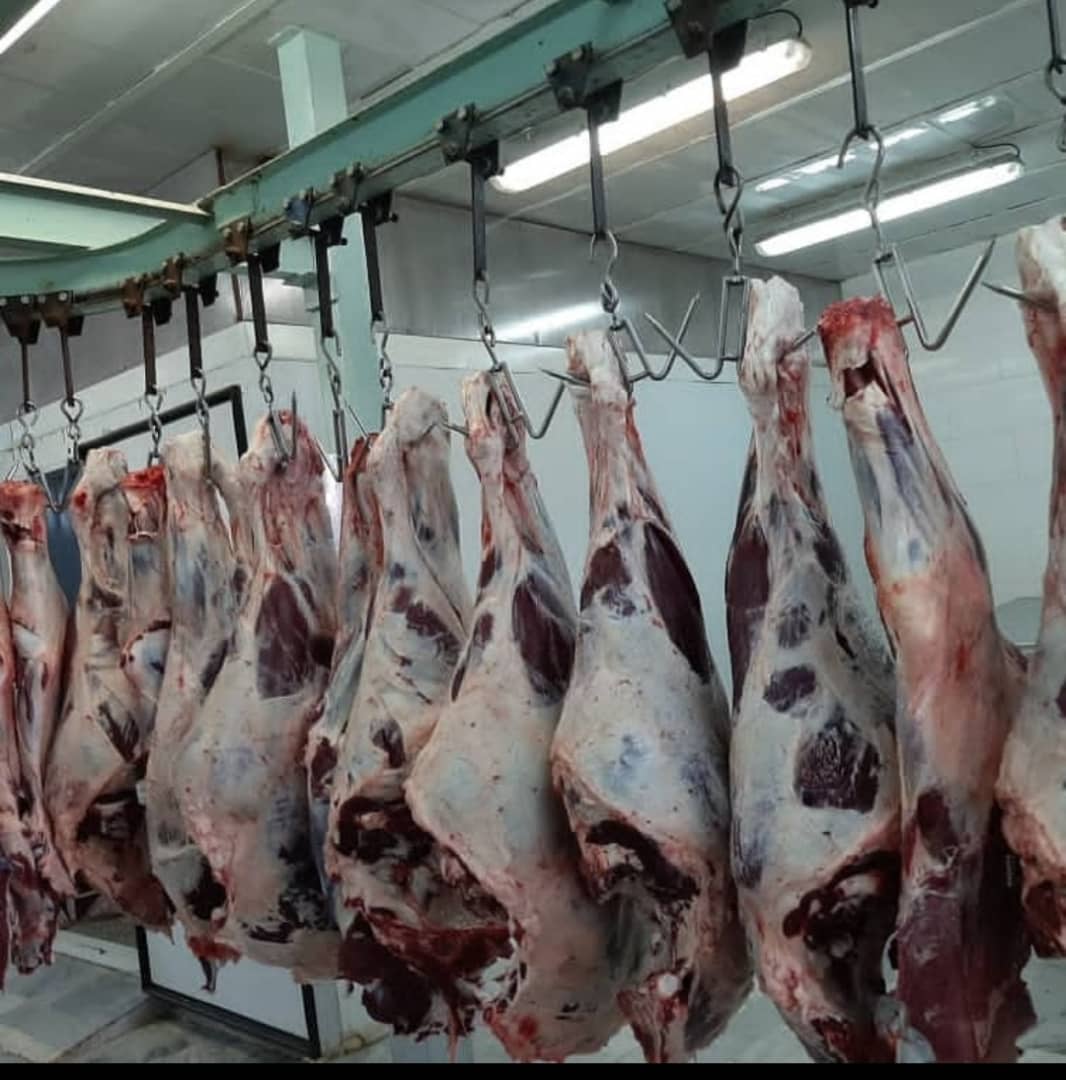 پخش گوشت منجمد امپراطور در اصفهان