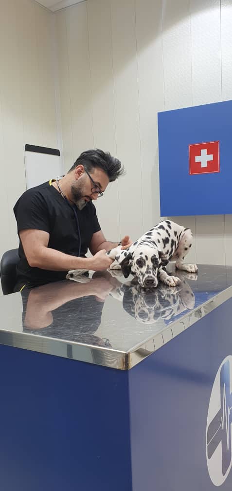 کلینیک دامپزشکی دکتر مهدی مقدم