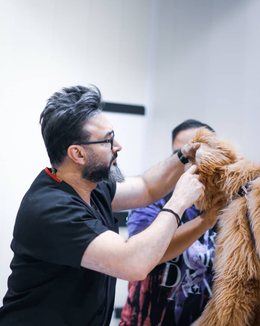 کلینیک دامپزشکی دکتر مهدی مقدم