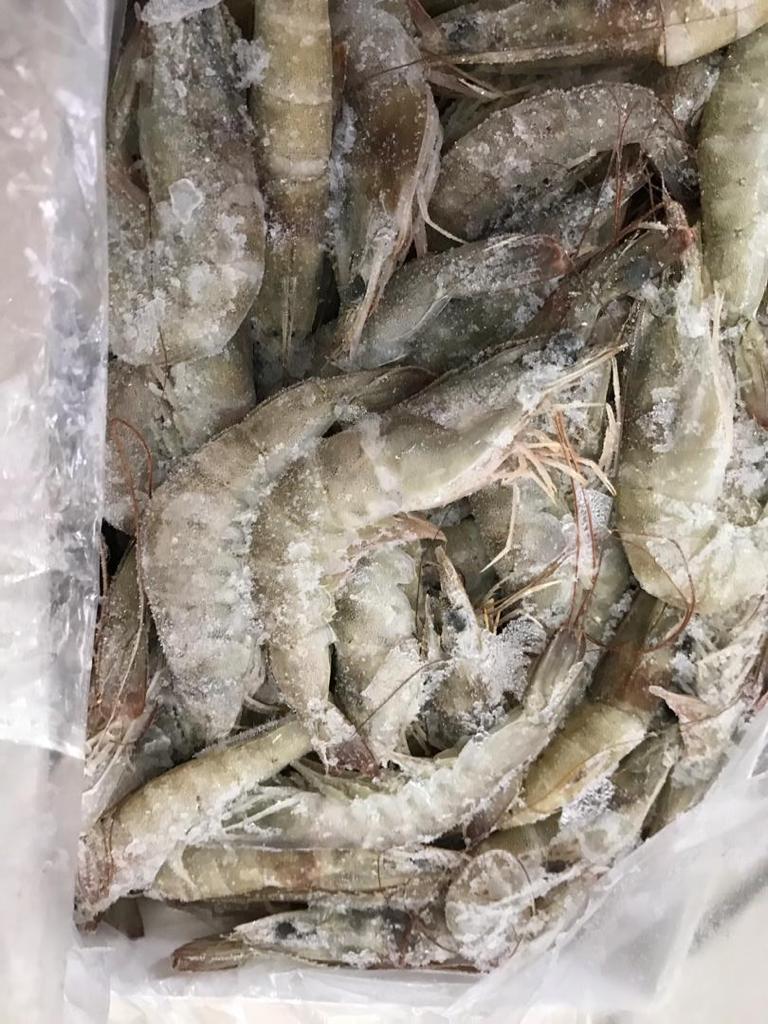 واردات کالا و صادرات خشکبار عمرانی در بوشهر