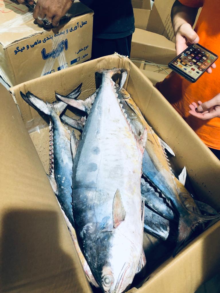 واردات کالا و صادرات خشکبار عمرانی در بوشهر