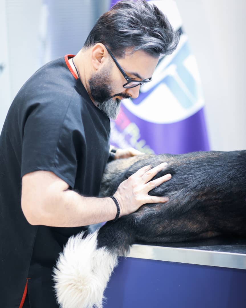 کلینیک دامپزشکی دکتر مهدی مقدم