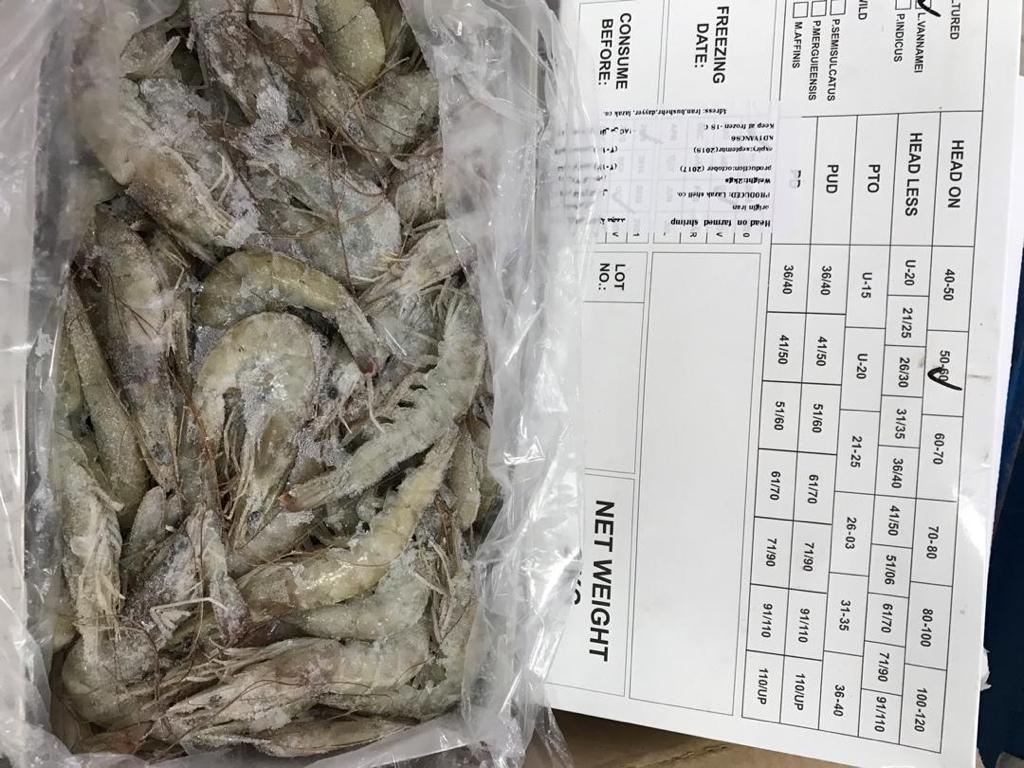 واردات کالا و صادرات خشکبار عمرانی در بوشهر