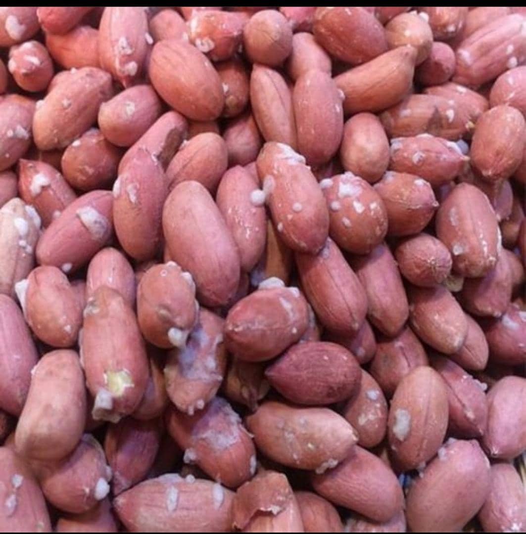 کارخانه بادام پزی کامبیز در آستانه اشرفیه کارخانه بادام پزی کامبیز در آستانه اشرفیه