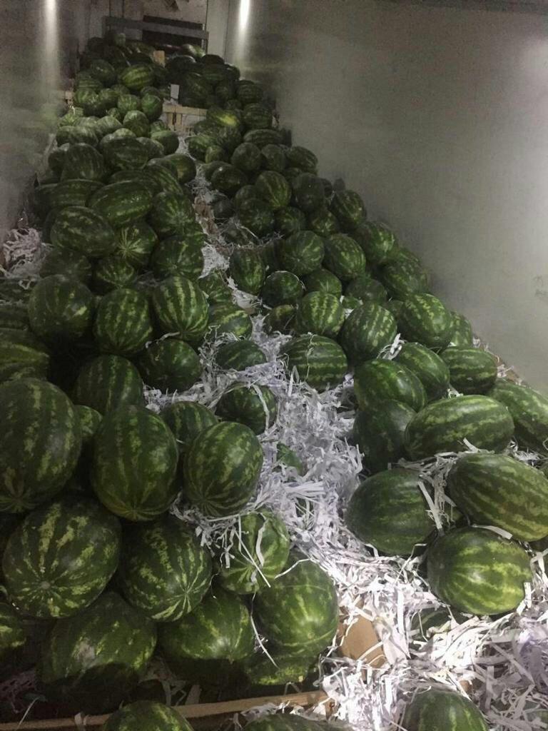 واردات کالا و صادرات خشکبار عمرانی در بوشهر