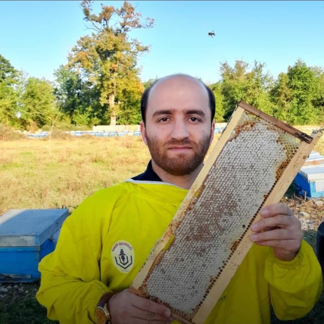 فروشگاه عسل ارگانیک برکت در نور چمستان