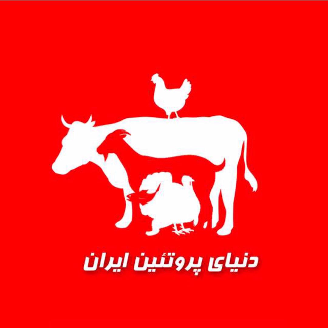 دنیای پروتئین ایران دکتر قربان پور در شیراز