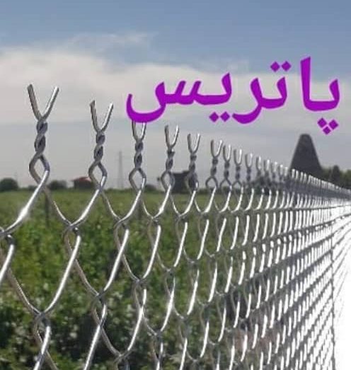 توری بافی پاتریس در تاکستان