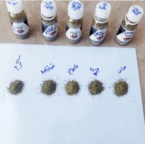 تنباکو و مدواخ کلات در گراش فارس