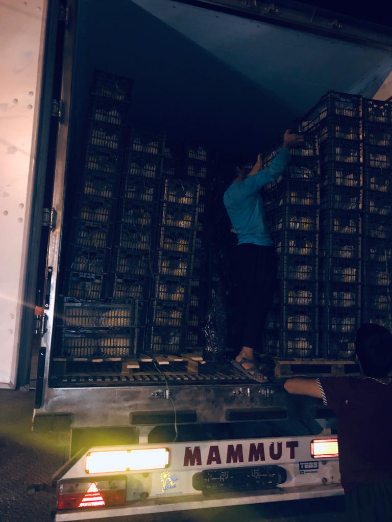 واردات کالا و صادرات خشکبار عمرانی در بوشهر