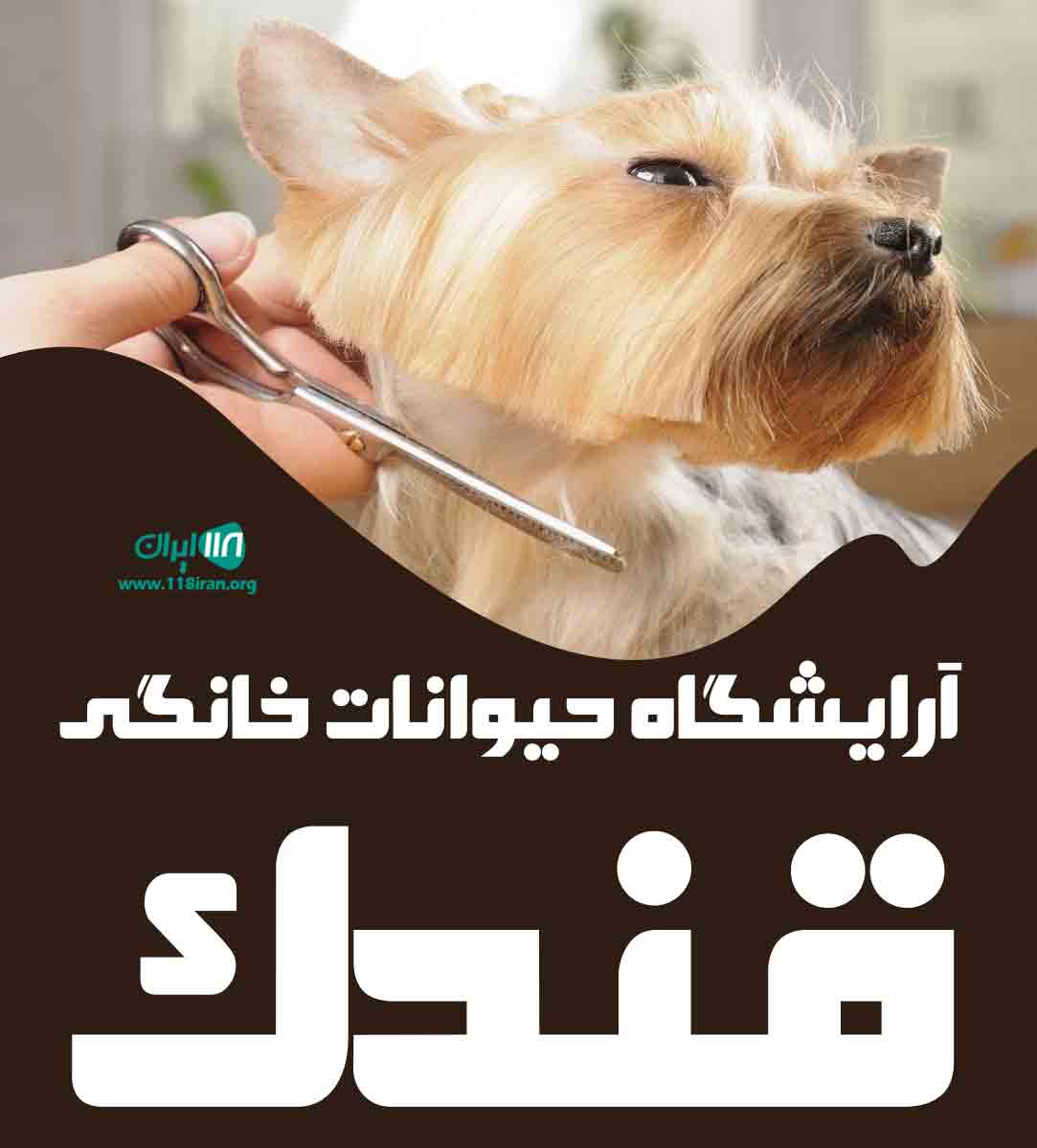 آرایشگاه حیوانات خانگی قندک در تهران و پردیس