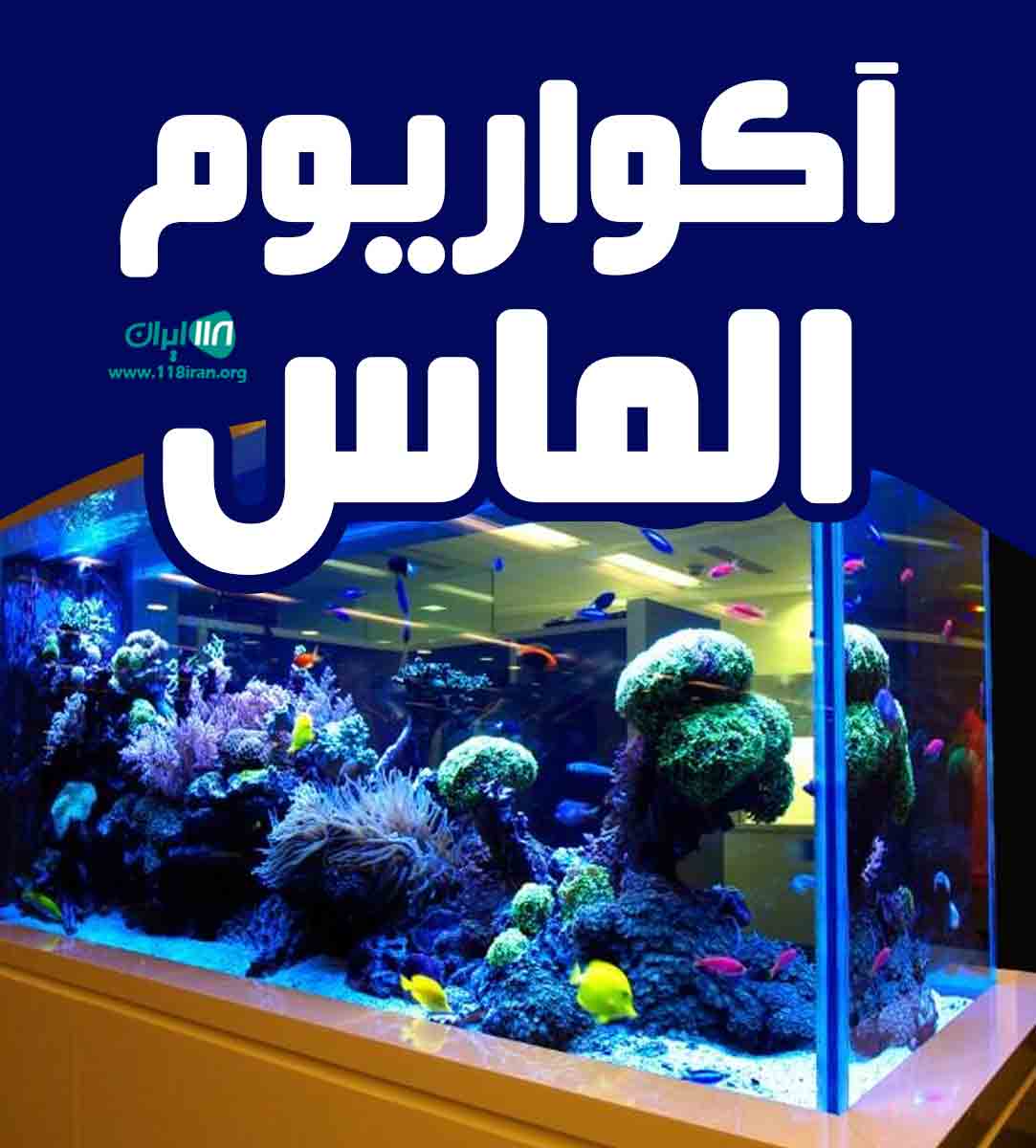 آکواریوم الماس در بانه