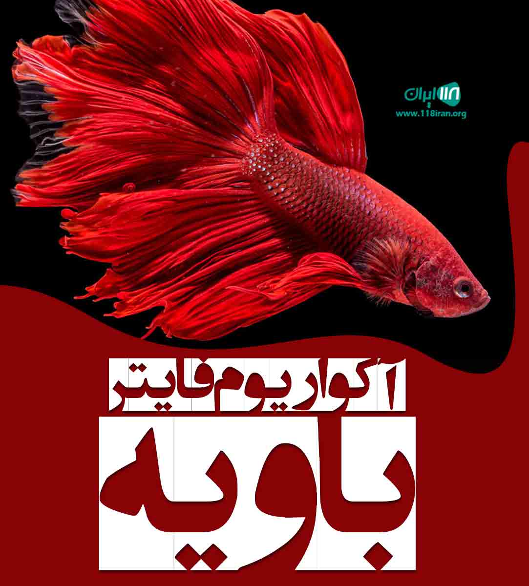 آکواریوم فایتر باویه در خوزستان آبادان