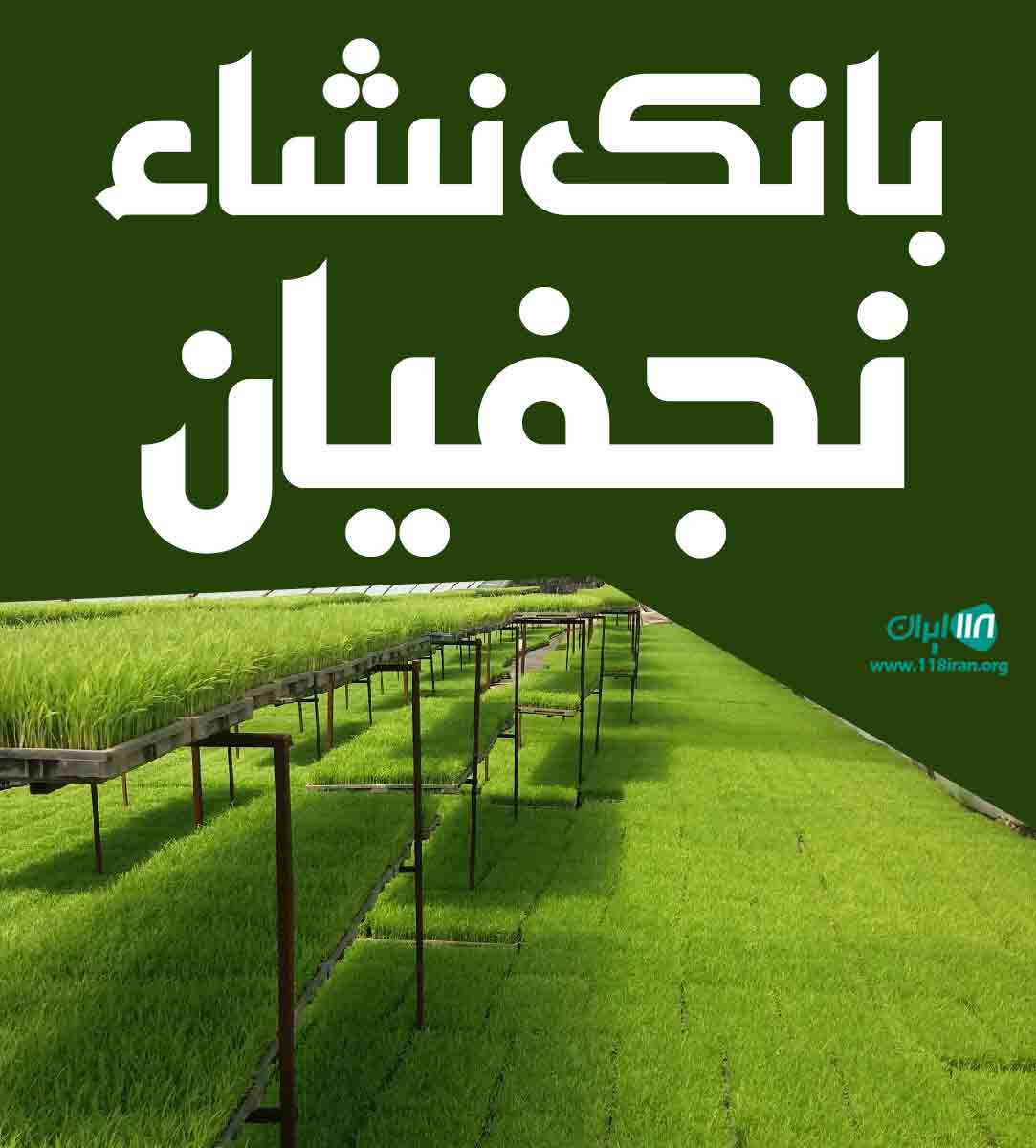 بانک نشاء نجفیان در بندر انزلی آبکنار بانک نشاء نجفیان در بندر انزلی آبکنار