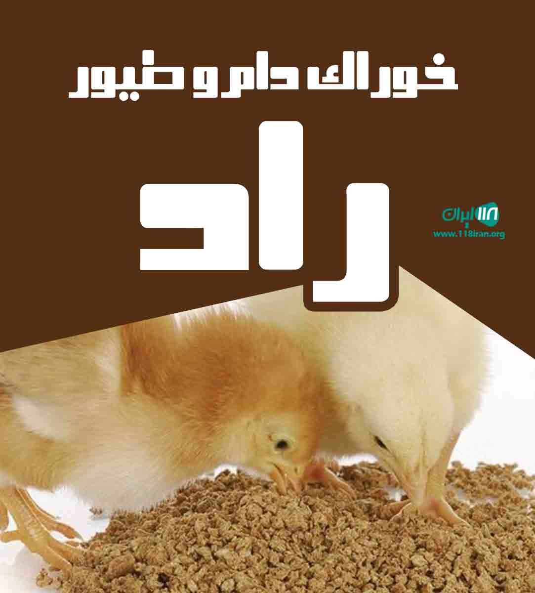 خوراک دام و طیور راد در کلاچای نوده