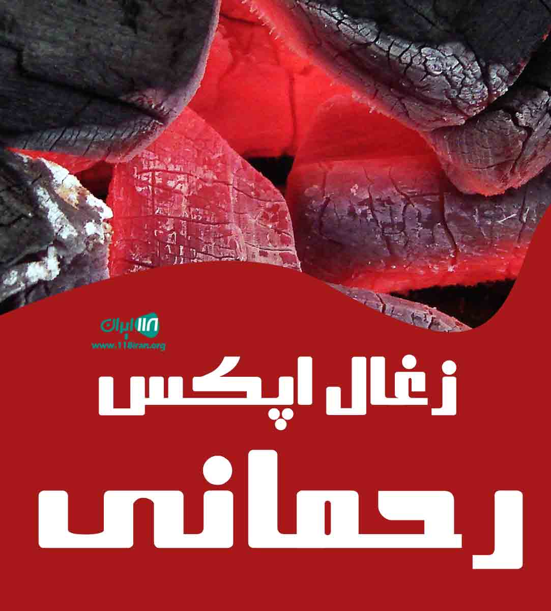 زغال اپکس رحمانی در قزوین تاکستان