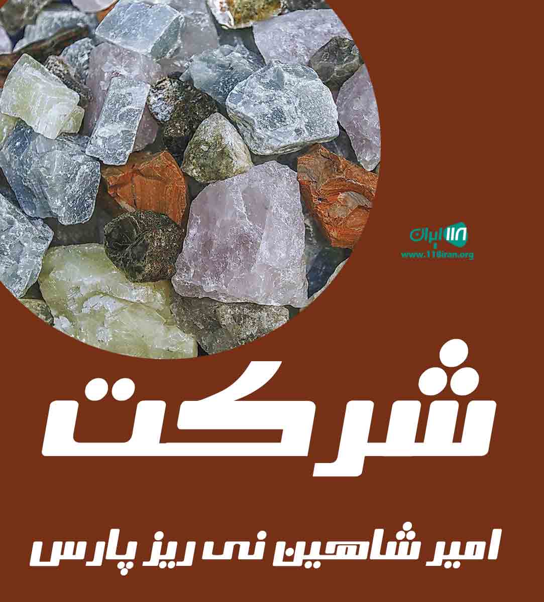 شرکت امیر شاهین نی ریز پارس در فارس شرکت امیر شاهین نی ریز پارس در فارس