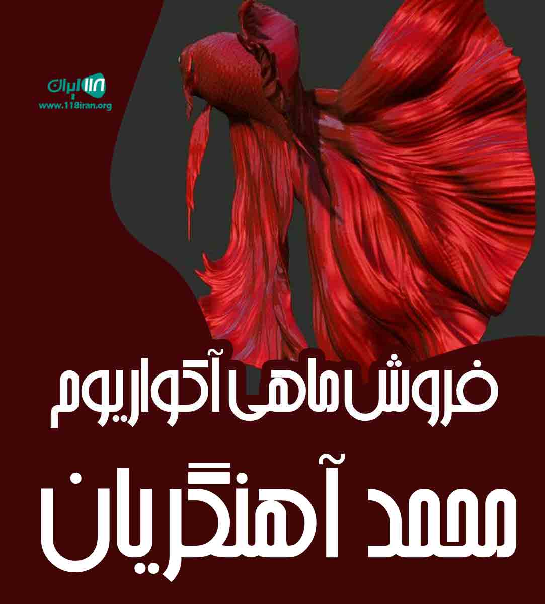 فروش ماهی آکواریوم آنجل محمد آهنگریان در ابهر