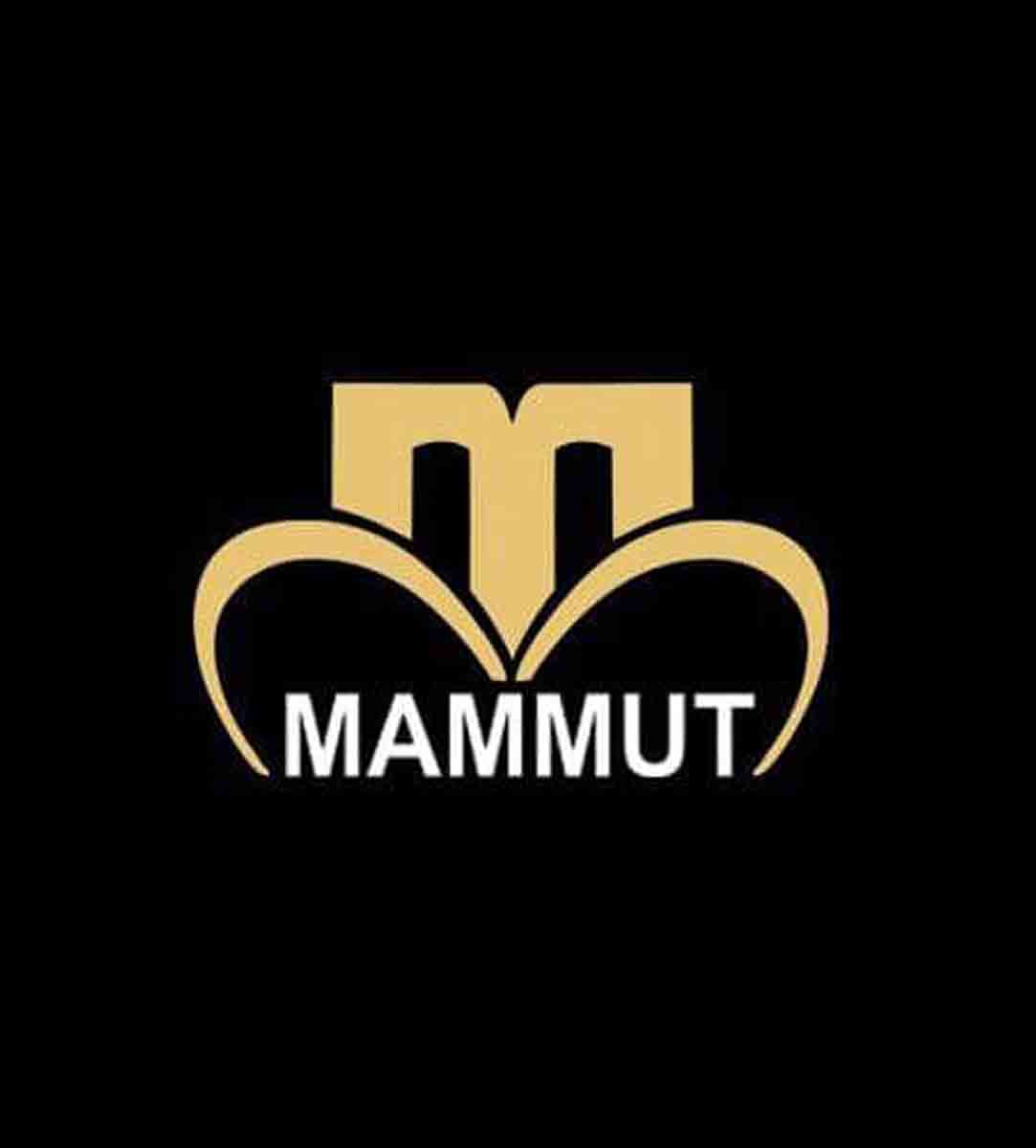 نمایشگاه کامیون ماموت باقری در یزد نمایشگاه کامیون ماموت باقری در یزد