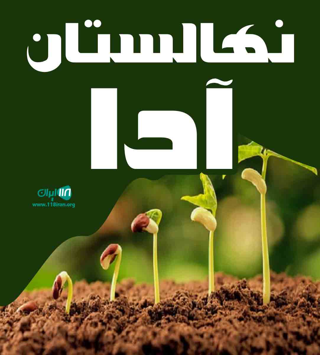 نهالستان آدا باوقر در آذربایجان غربی نهالستان آدا باوقر در آذربایجان غربی