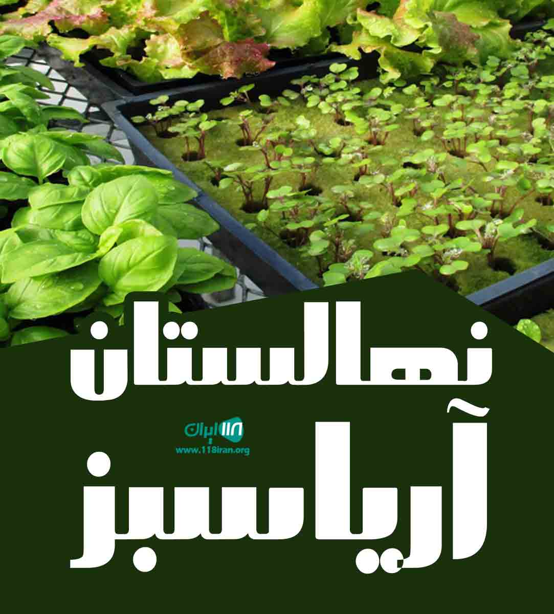 نهالستان آریاسبز در میاندوآب