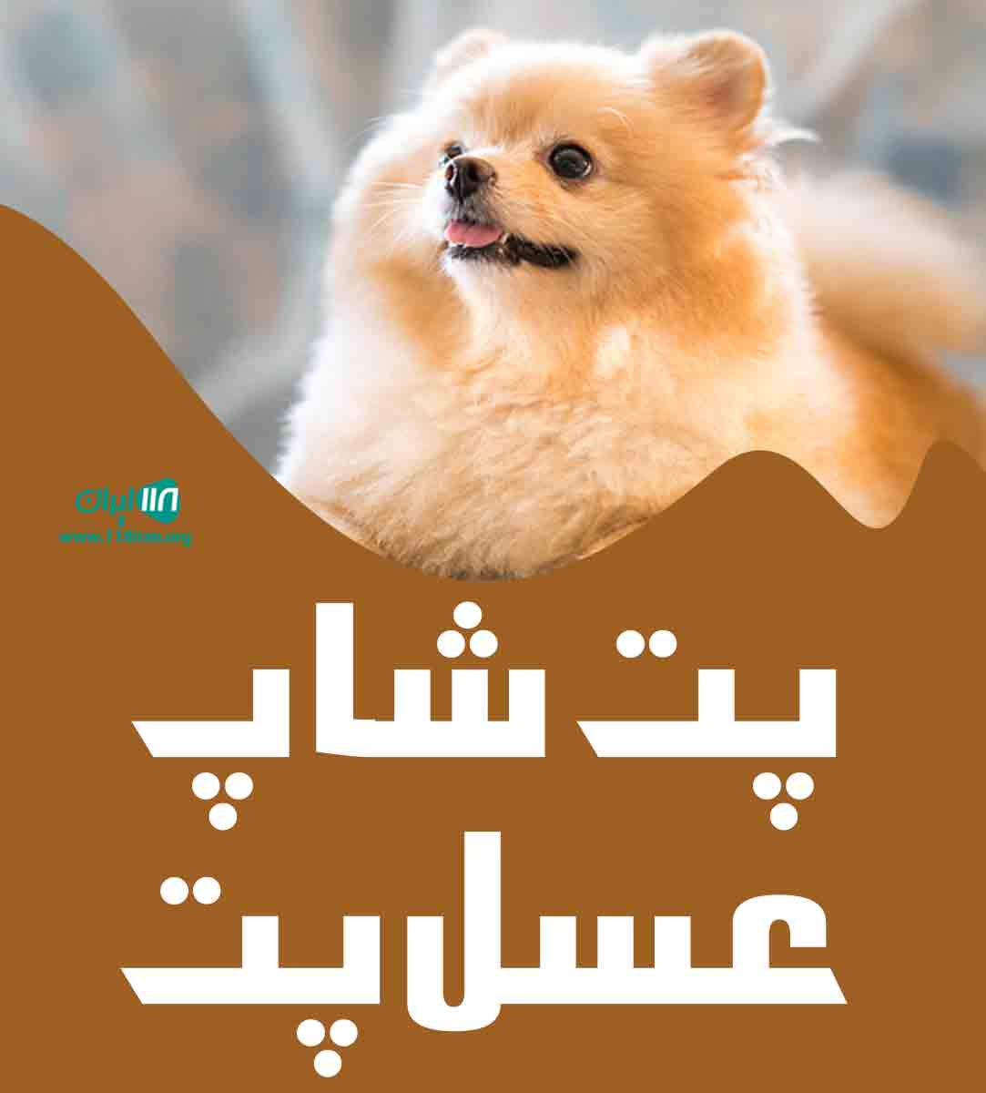 پت شاپ عسل پت در تهران