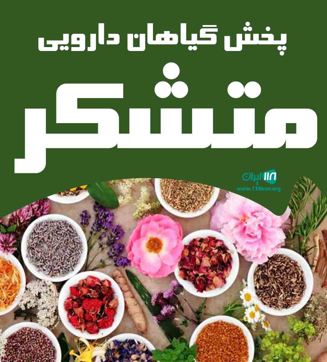 پخش گیاهان دارویی متشکر در مشهد پخش گیاهان دارویی متشکر در مشهد