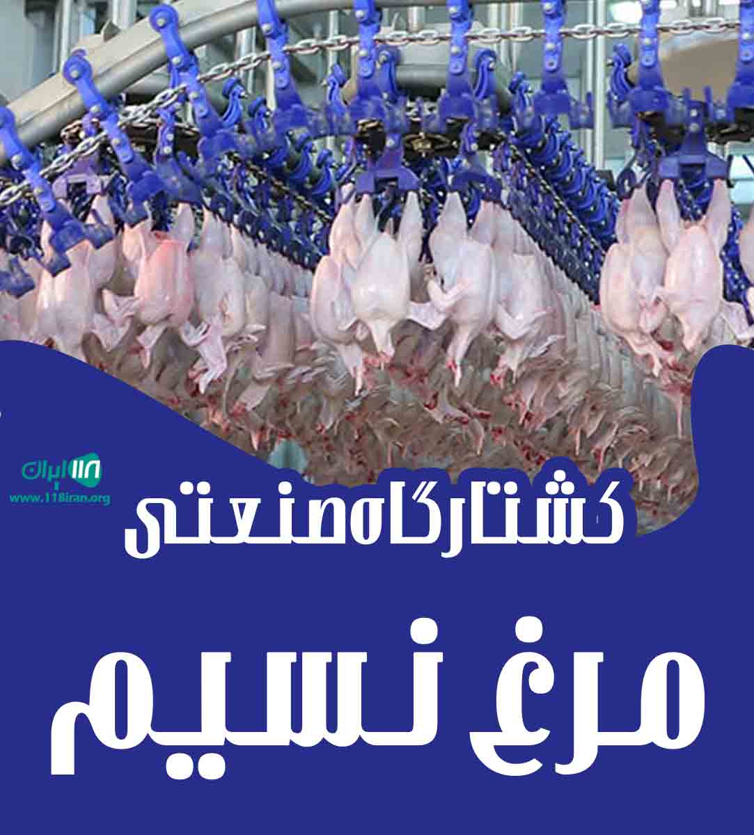 کشتارگاه صنعتی مرغ نسیم در گچساران