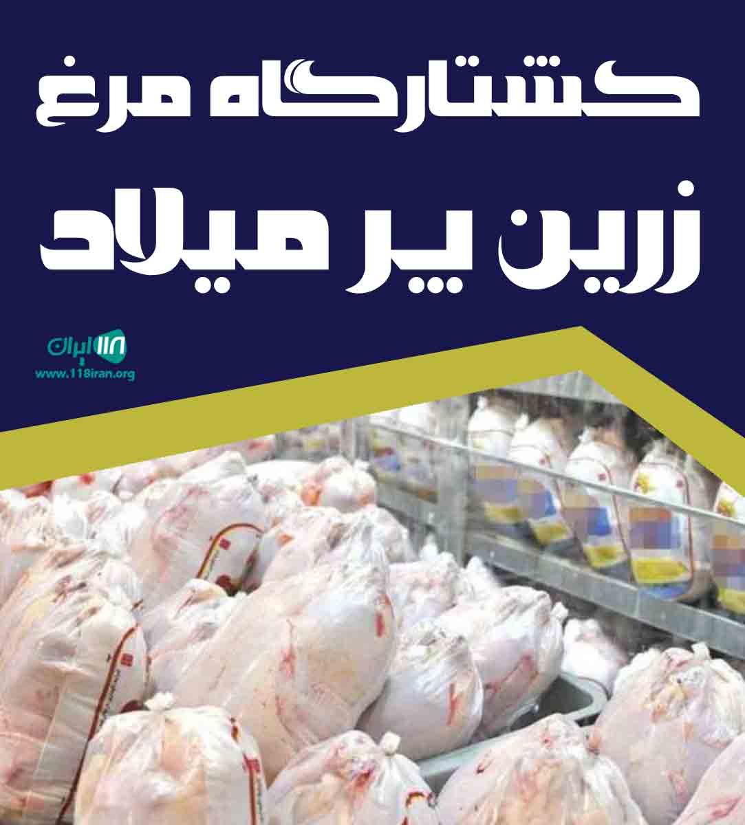 کشتارگاه مرغ زرین پر میلاد در پیرانشهر