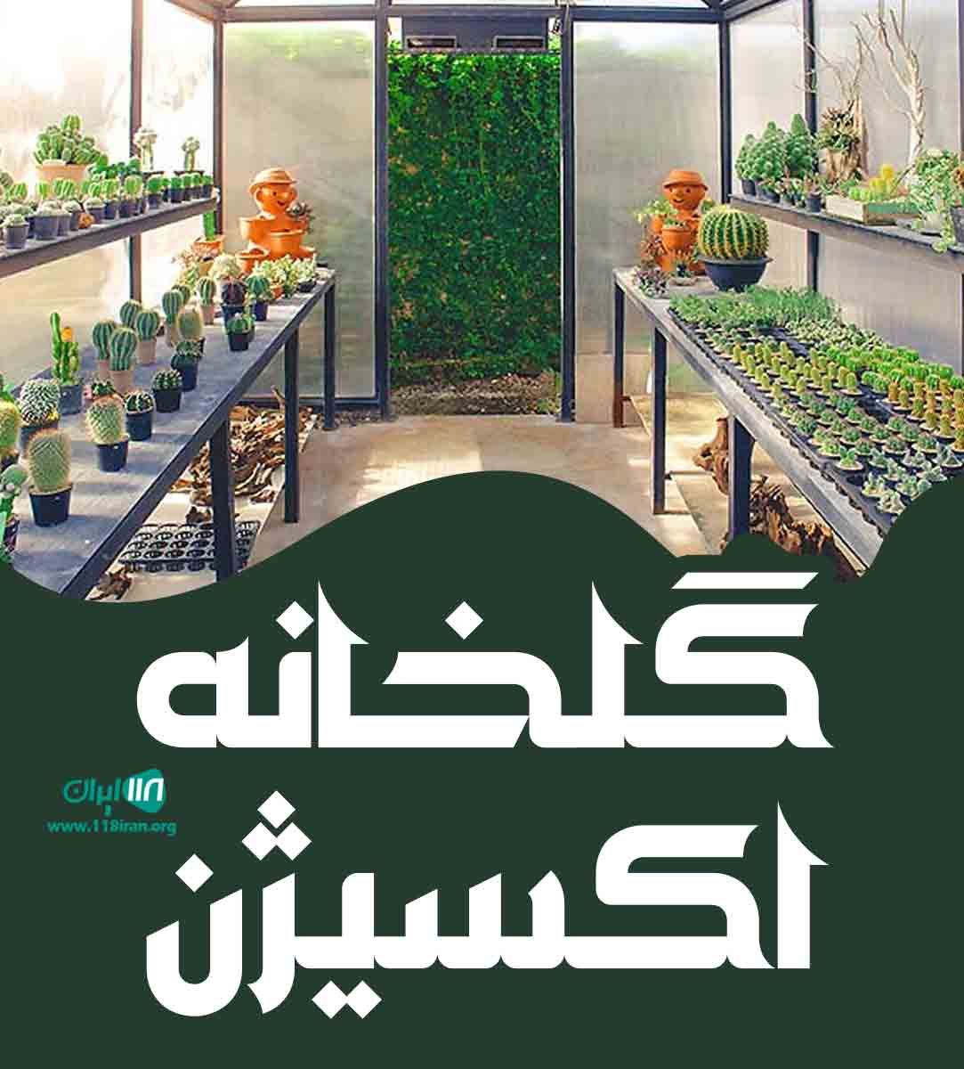 گلخانه اکسیژن در گرگان گلخانه اکسیژن در گرگان