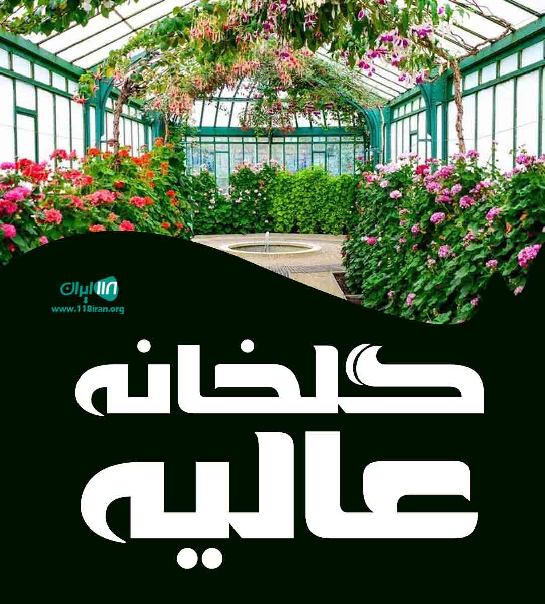 گلخانه عالیه در کردکوی گلخانه عالیه در کردکوی